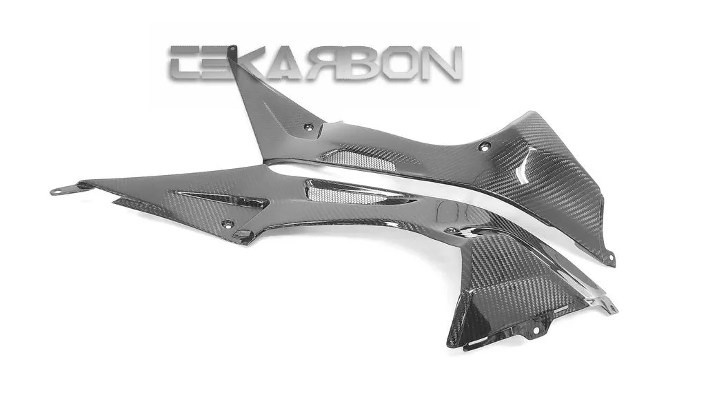 2009 - 2014 BMW S1000RR / HP4 Carbon Fiber Side Tank Panels