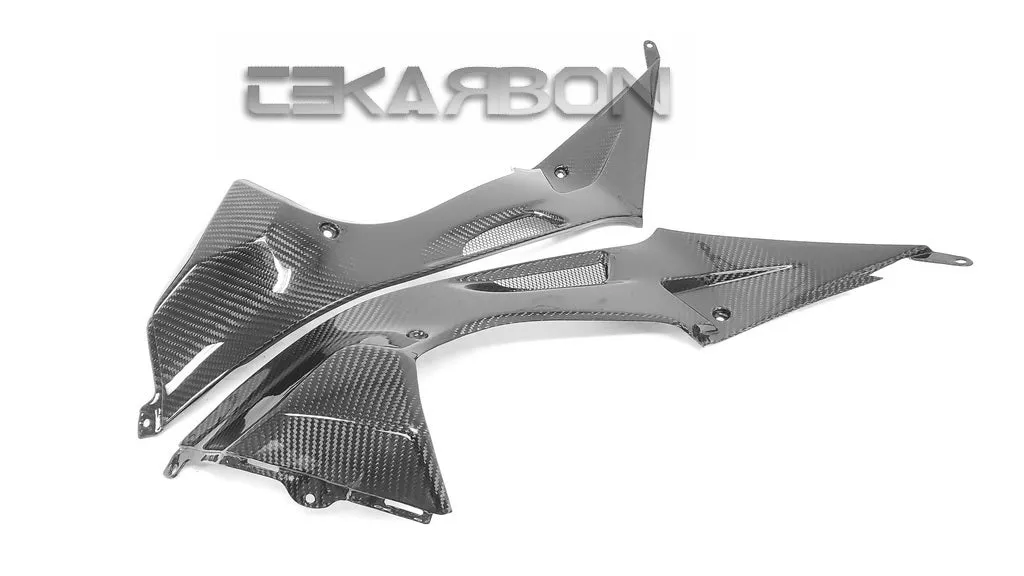 2009 - 2014 BMW S1000RR / HP4 Carbon Fiber Side Tank Panels