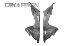 2009 - 2014 BMW S1000RR / HP4 Carbon Fiber Side Tank Panels