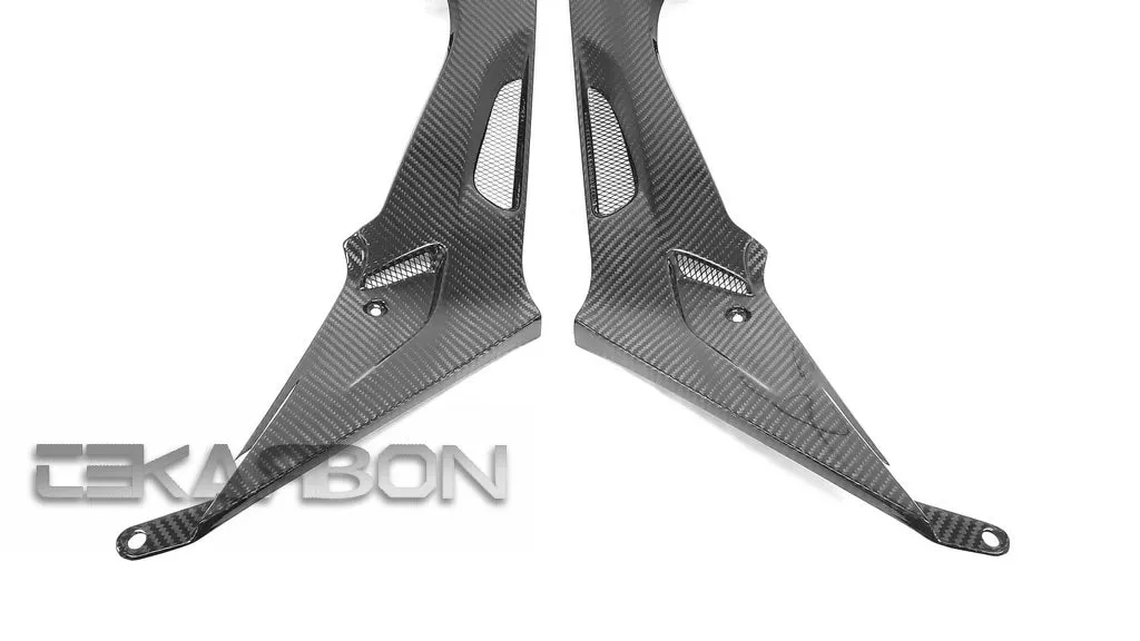 2009 - 2014 BMW S1000RR / HP4 Carbon Fiber Side Tank Panels