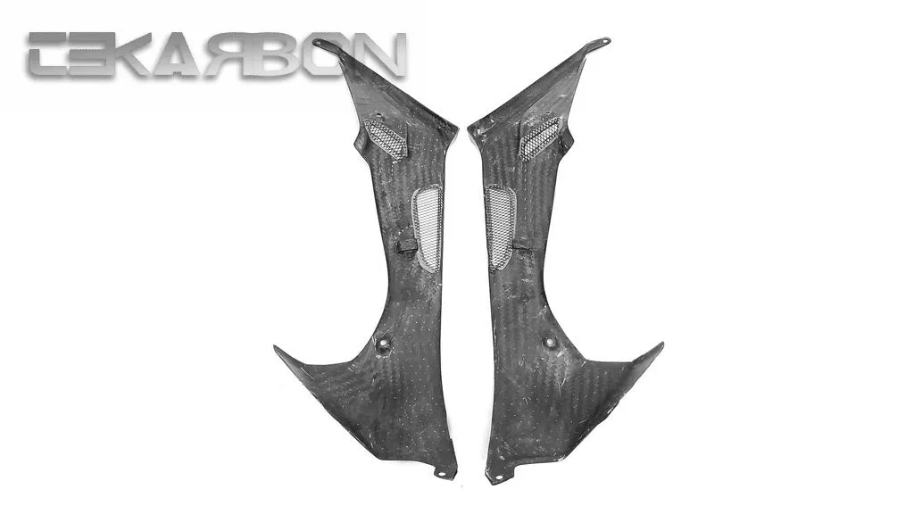 2009 - 2014 BMW S1000RR / HP4 Carbon Fiber Side Tank Panels