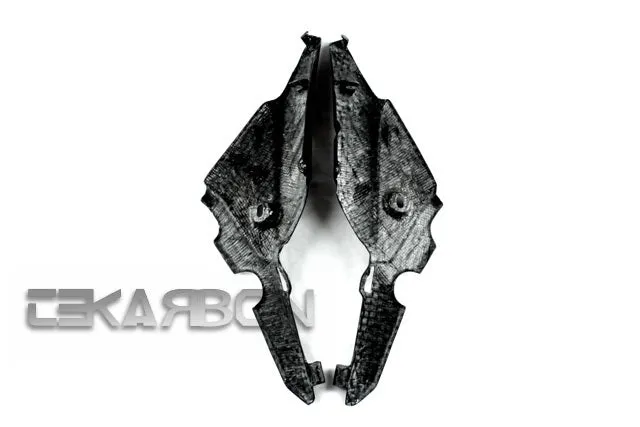 2011 - 2013 Aprilia Shiver 750 Carbon Fiber Side Panels