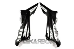 2012 - 2015 MV Agusta Brutale 675 Carbon Fiber Side Panels