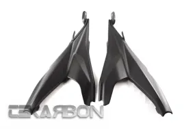 2014 Ducati 899 Panigale Carbon Fiber Side Panels