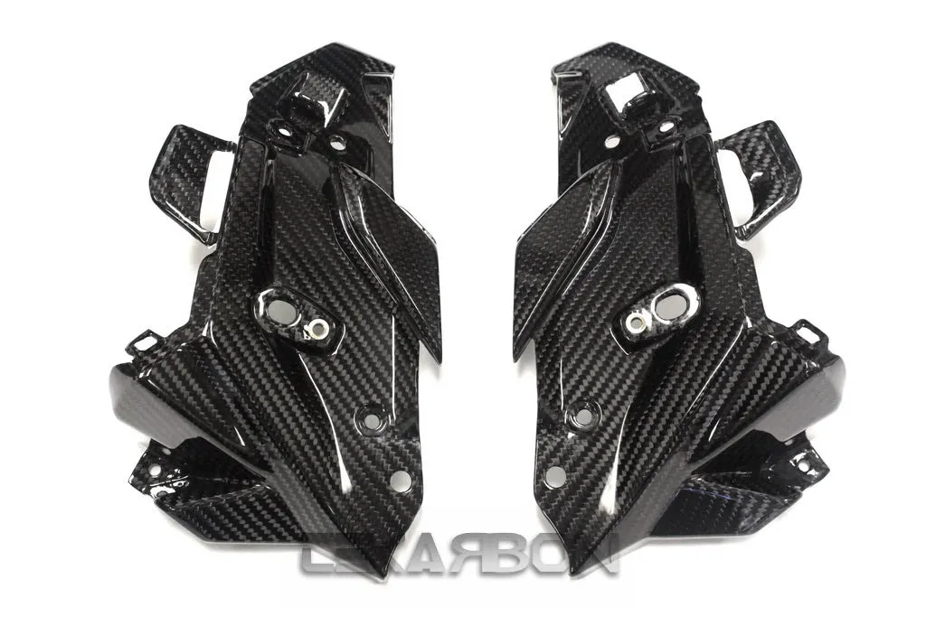 2015 - 2016 BMW F800R Carbon Fiber Front Inner Side Panels
