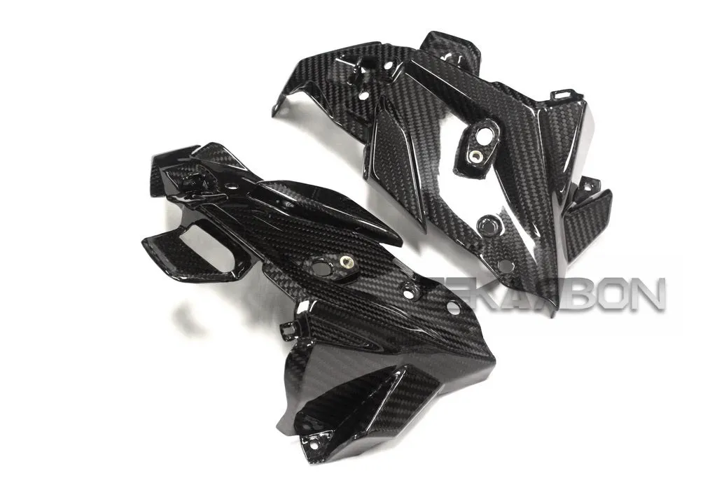 2015 - 2016 BMW F800R Carbon Fiber Front Inner Side Panels