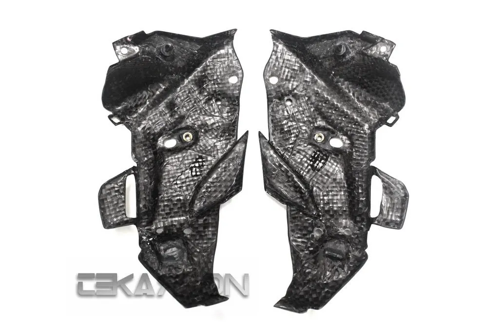 2015 - 2016 BMW F800R Carbon Fiber Front Inner Side Panels