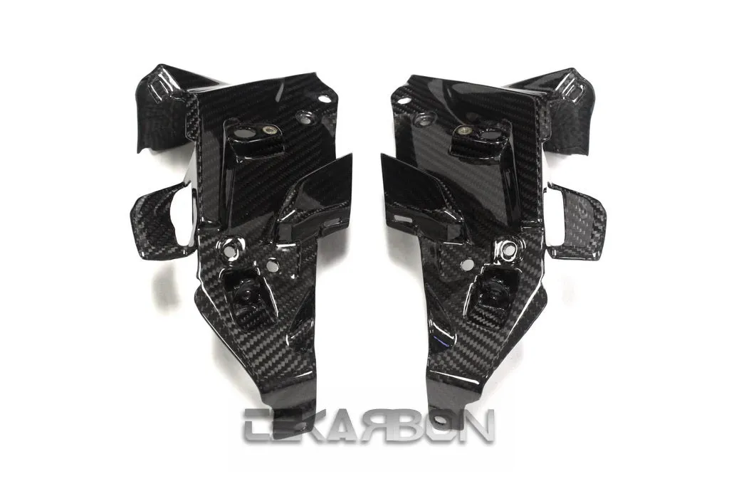 2015 - 2016 BMW F800R Carbon Fiber Front Inner Side Panels
