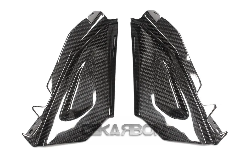 2015 - 2016 BMW F800R Carbon Fiber Front Side Tank Panels