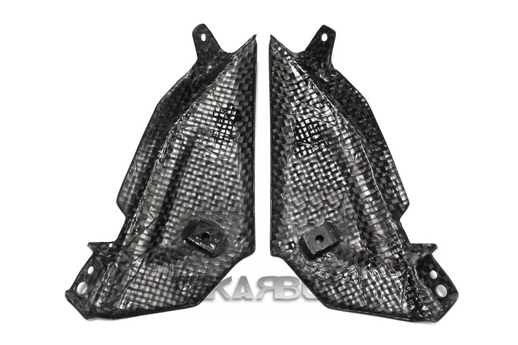 2015 - 2016 BMW F800R Carbon Fiber Front Side Tank Panels