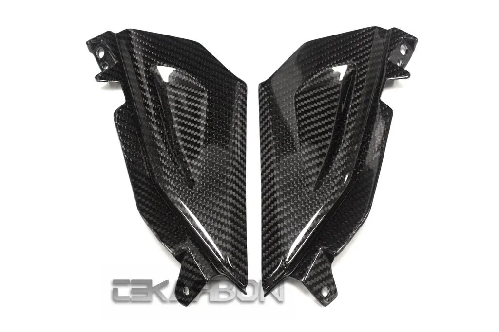 2015 - 2016 BMW F800R Carbon Fiber Front Side Tank Panels