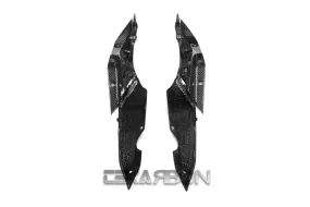 2015 - 2018 BMW R1200RS / 15-16 R1200R Carbon Fiber Tail Side Panels