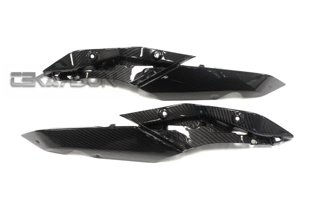 2015 - 2018 BMW R1200RS / 15-16 R1200R Carbon Fiber Tail Side Panels