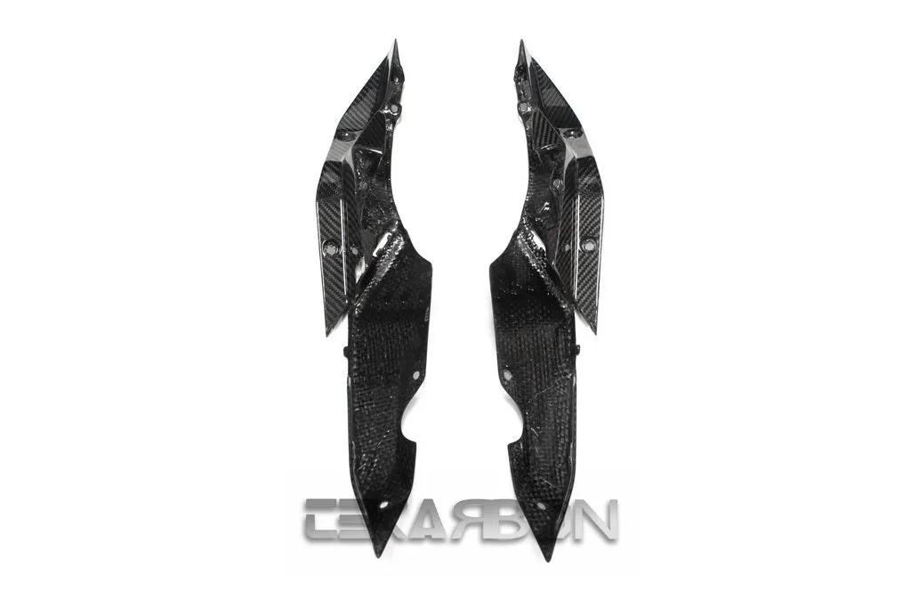 2015 - 2018 BMW R1200RS / 15-16 R1200R Carbon Fiber Tail Side Panels