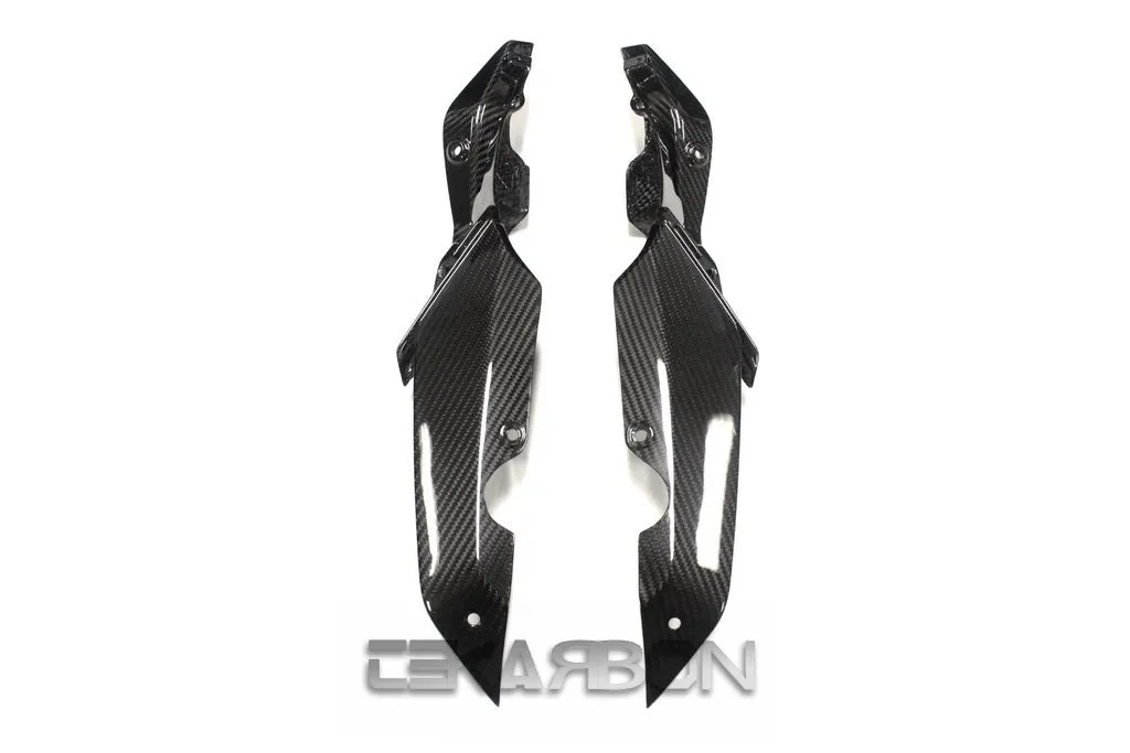2015 - 2018 BMW R1200RS / 15-16 R1200R Carbon Fiber Tail Side Panels