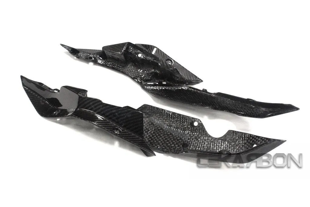 2015 - 2018 BMW R1200RS / 15-16 R1200R Carbon Fiber Tail Side Panels