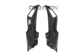 2015 - 2018 BMW R1200RS Carbon Fiber Inner Side Panels