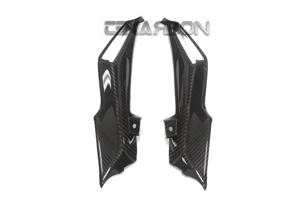 2015 - 2018 BMW R1200RS Carbon Fiber Inner Side Panels