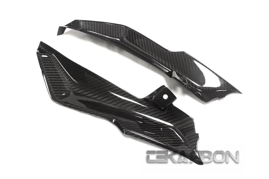2015 - 2018 BMW R1200RS Carbon Fiber Inner Side Panels