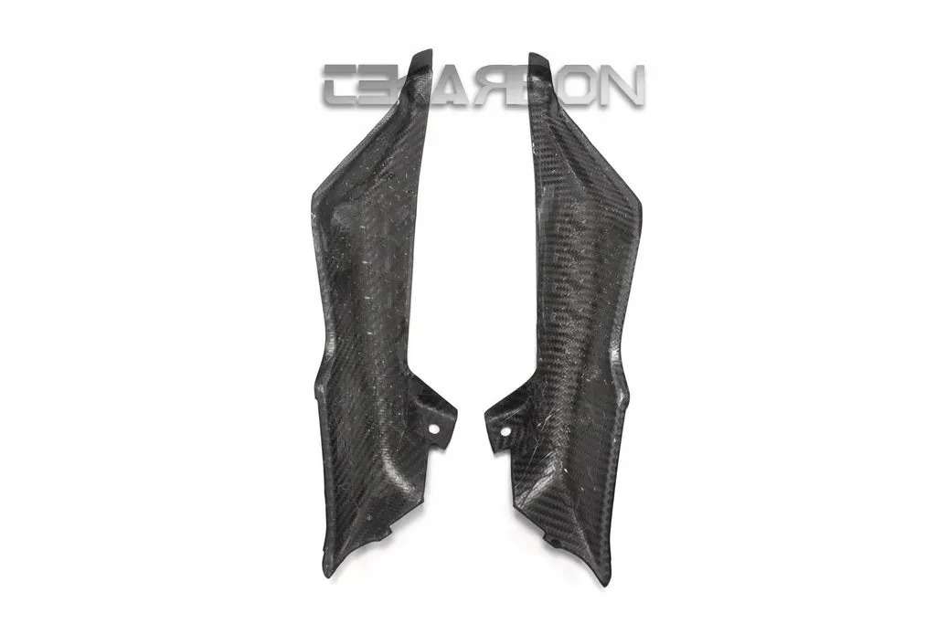 2015 - 2018 BMW R1200RS Carbon Fiber Inner Side Panels