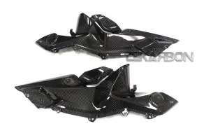 2015 - 2018 BMW R1200RS Carbon Fiber Side Fairing Panels