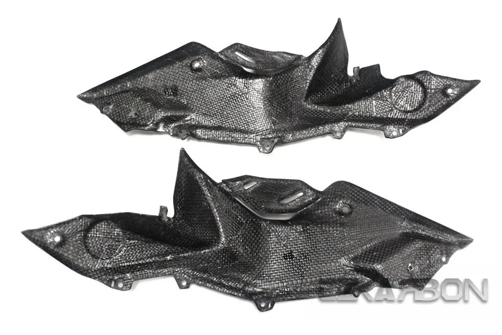 2015 - 2018 BMW R1200RS Carbon Fiber Side Fairing Panels