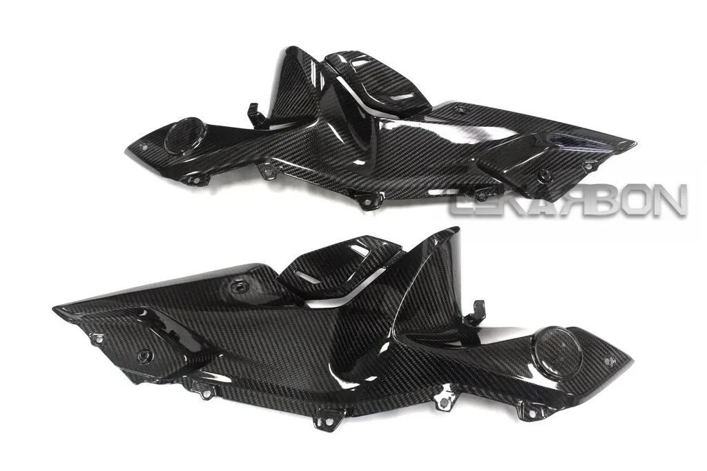 2015 - 2018 BMW R1200RS Carbon Fiber Side Fairing Panels