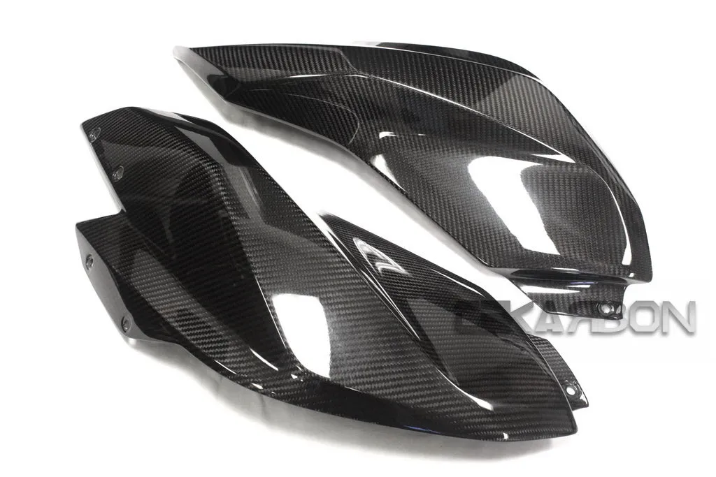 2015 - 2018 BMW R1200RS Carbon Fiber Side Tank Panels