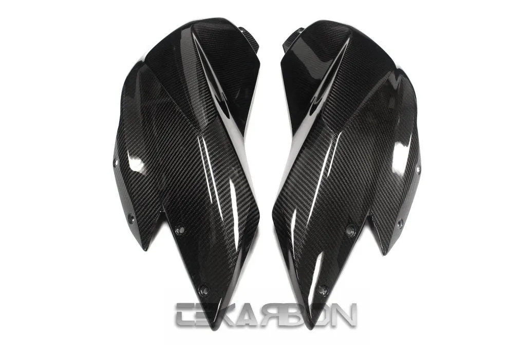 2015 - 2018 BMW R1200RS Carbon Fiber Side Tank Panels