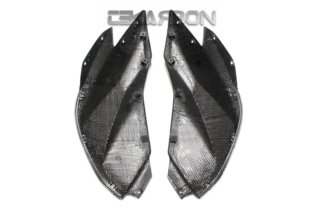 2015 - 2018 BMW R1200RS Carbon Fiber Side Tank Panels