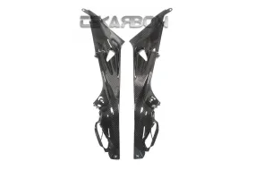2015 - 2018 BMW S1000RR / HP4 Carbon Fiber Side Tank Panels