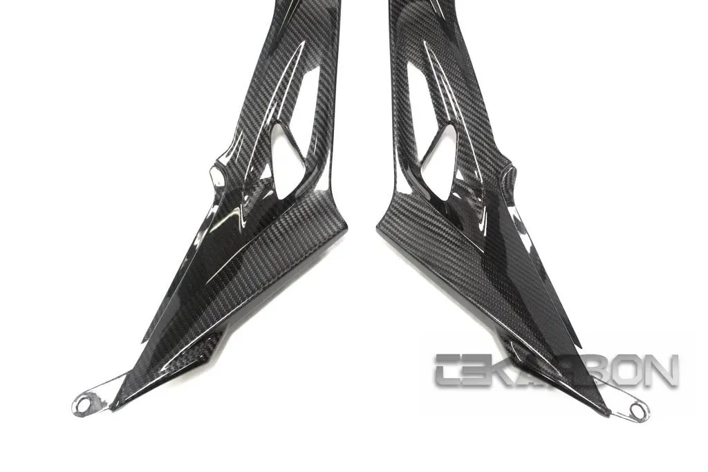 2015 - 2018 BMW S1000RR / HP4 Carbon Fiber Side Tank Panels