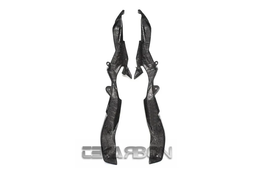 2015 - 2018 BMW S1000XR Carbon Fiber Rear Tail Side Panels