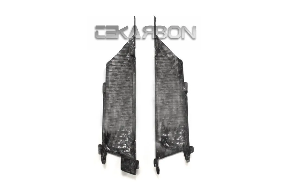 2016 - 2017 BMW F800GS Carbon Fiber Small Side Covers