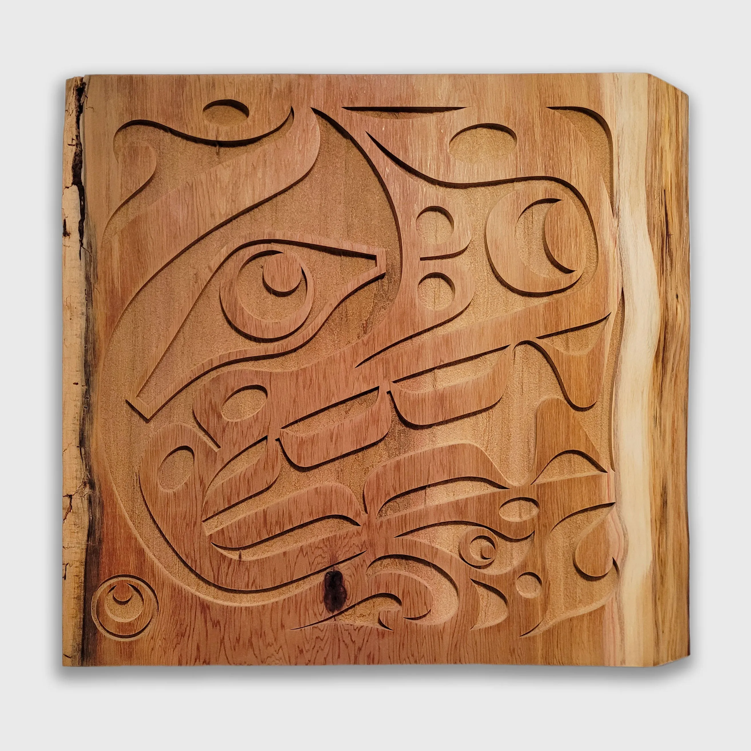 Bear Live Edge Cedar Panel