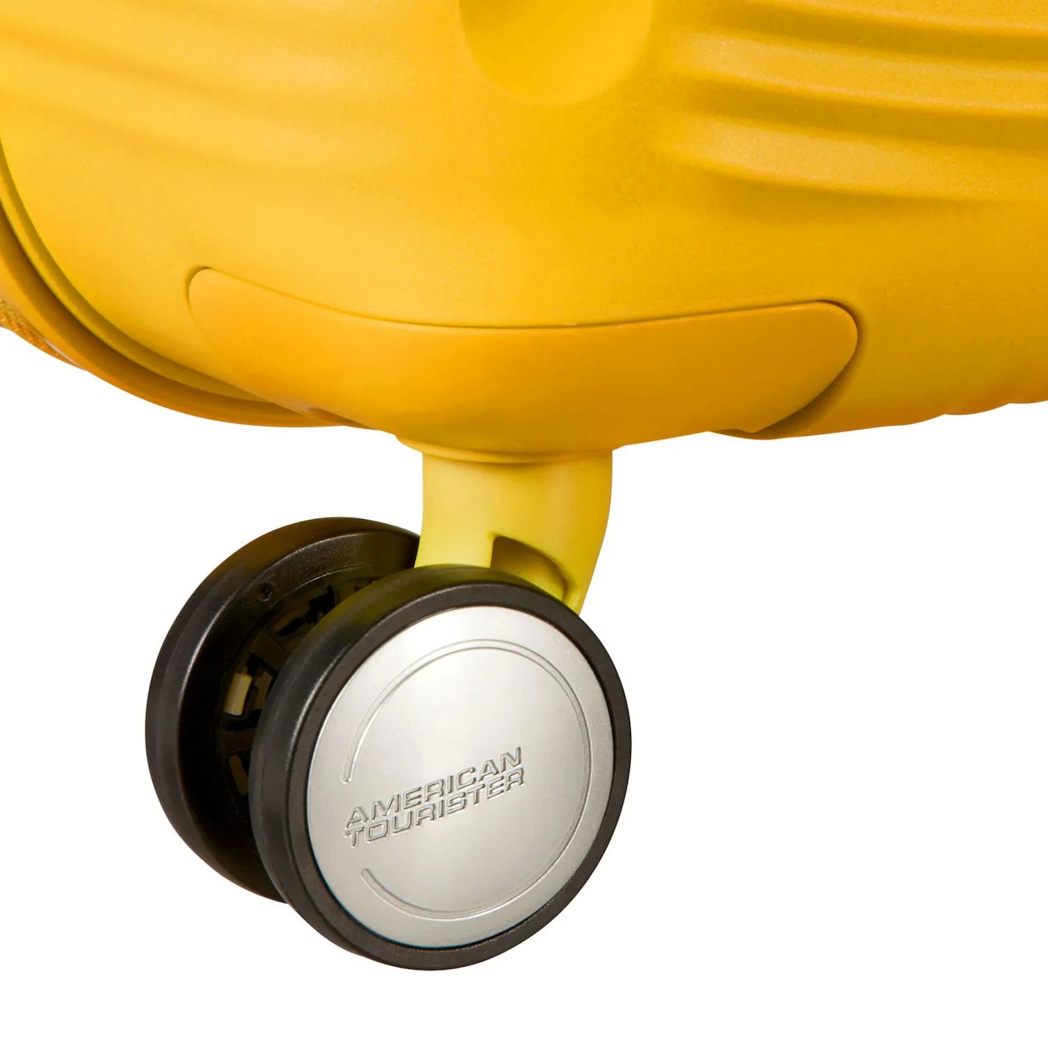 Curio Spinner Medium Expandable