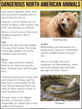 Dangerous North American Animals Non-Fiction Article
