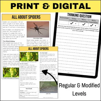 Dangerous North American Spiders Non-Fiction Article