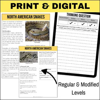 Deadly North American Snakes Non-Fiction Article