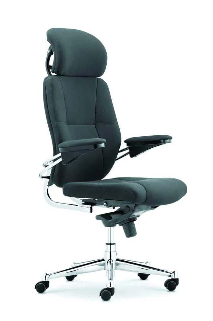 Spine Align Executive Chair
