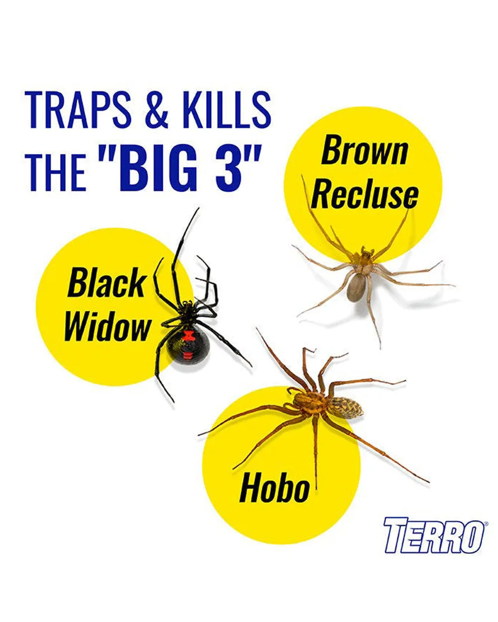 Terro Refillable Spider Trap Bundle