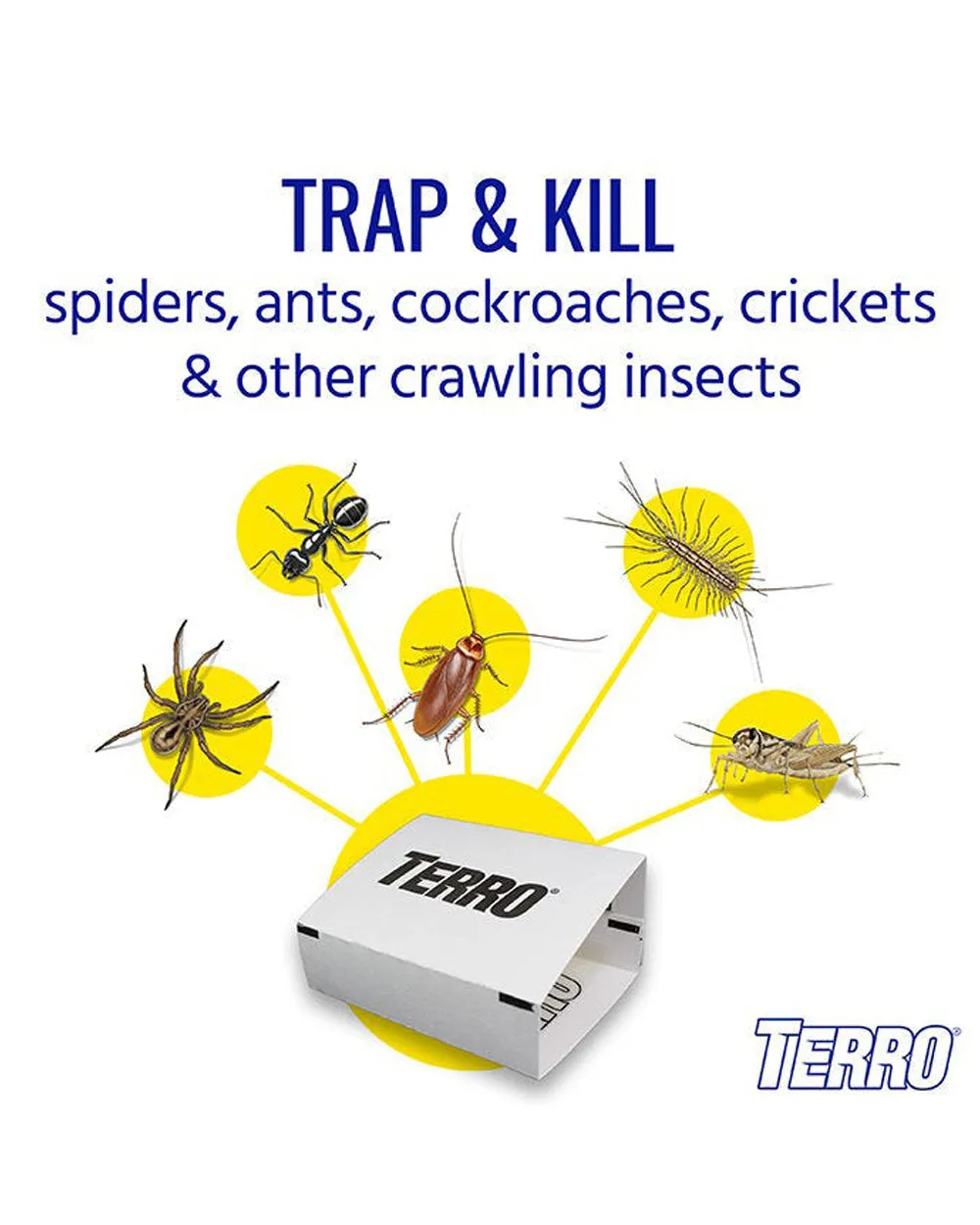 Terro Refillable Spider Trap Bundle