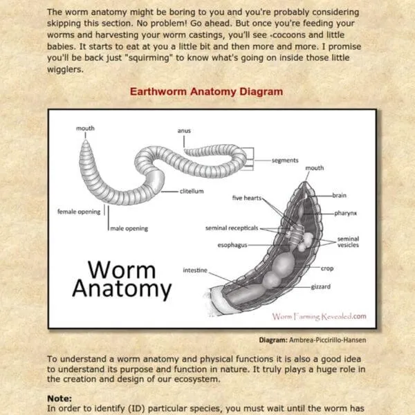 The Worm Farming Revolution – eBook