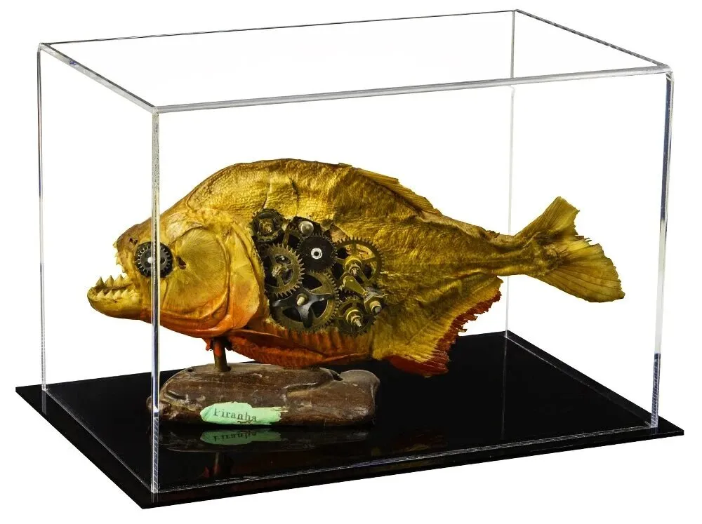 Versatile Acrylic Display Case 9.5 x 6 x 6.5 - Clear (V43/A005)